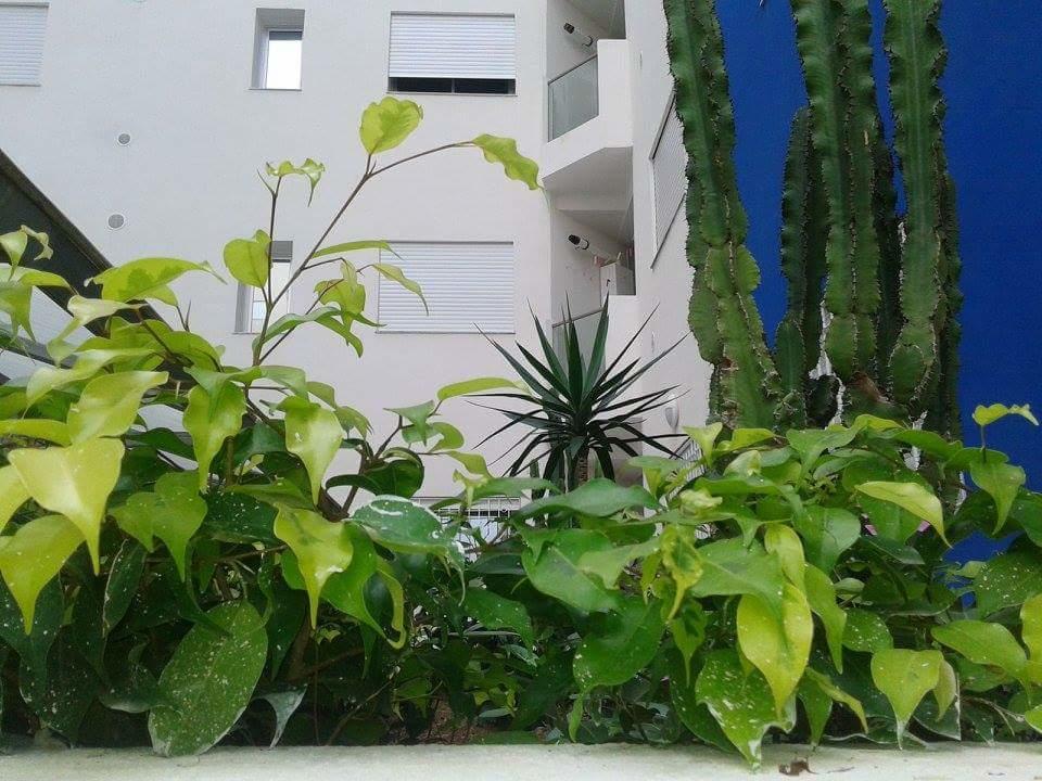 Le Lagon De الحمامات الغرفة الصورة